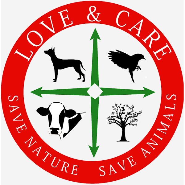 Love and Care Logo